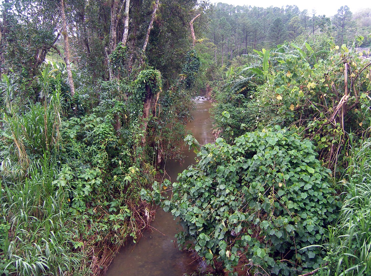 fl68.jpg